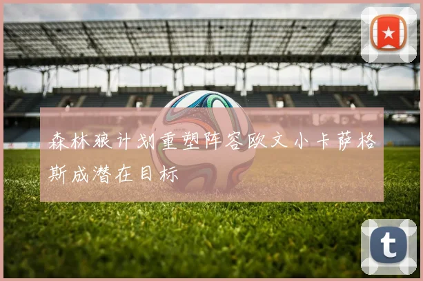 森林狼计划重塑阵容欧文小卡萨格斯成潜在目标