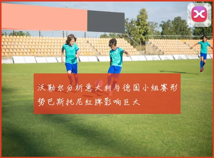 沃勒尔分析意大利与德国小组赛形势巴斯托尼红牌影响巨大
